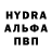 Amphetamine VHQ Gunel Bogacheva