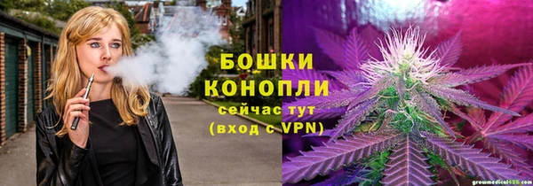 мдма Новозыбков