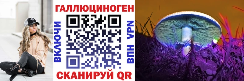 Псилоцибиновые грибы GOLDEN TEACHER  Тайга 